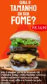 352- lanche 3 hamburgueres 100 gr